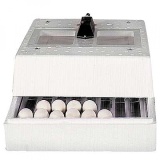 Digitaler Flächenbrüter