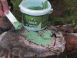 Salzpaste Anis 2 kg Eimer